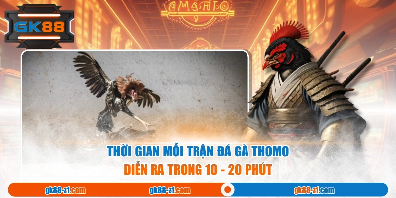 Thời gian mỗi trận Đá Gà Thomo diễn ra trong 10 - 20 phút